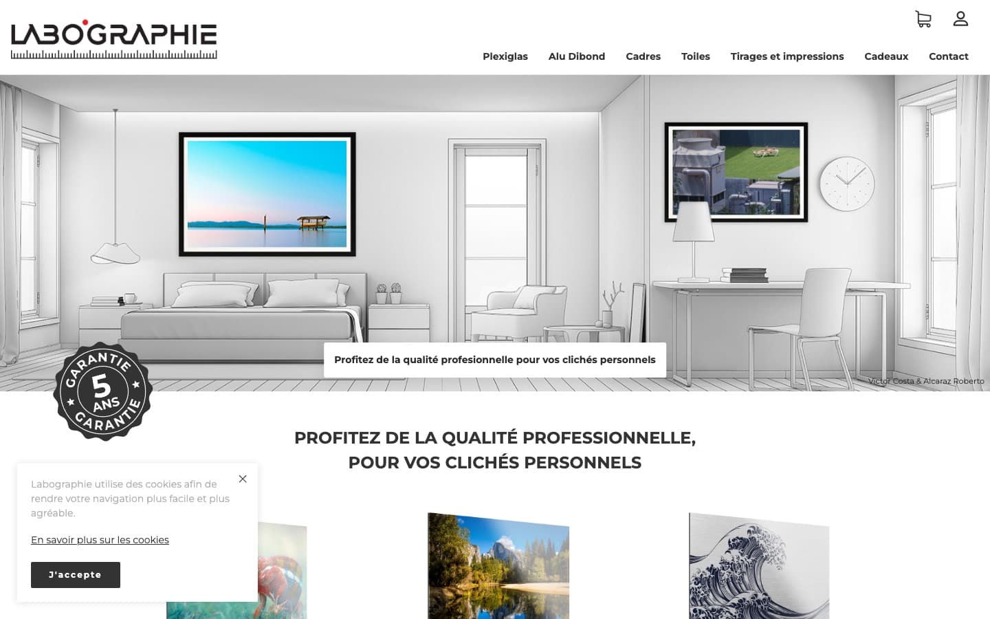 Capture d’écran du site Labographie